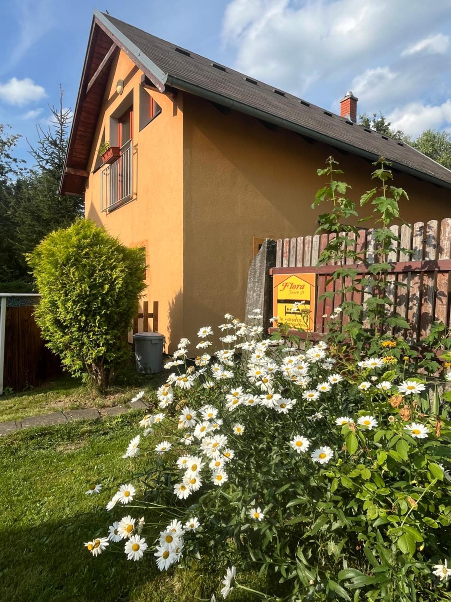 Cely Dum Flora V Ceskosaskem Svycarsku Apartment Janov Exterior photo